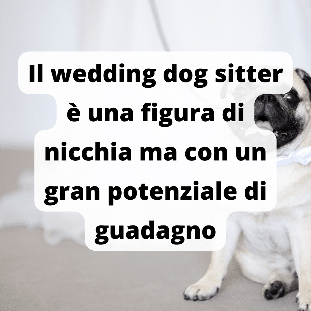 Guadagnare come dog sitter ai matrimoni è un modo per fare molti soldi